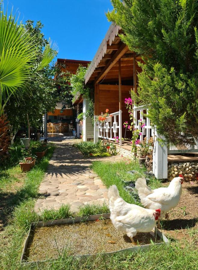 Flora Pansiyon Cirali Διαμέρισμα Κεμέρ Εξωτερικό φωτογραφία