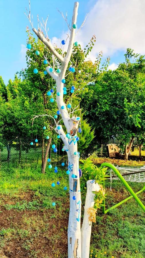 Flora Pansiyon Cirali Διαμέρισμα Κεμέρ Εξωτερικό φωτογραφία