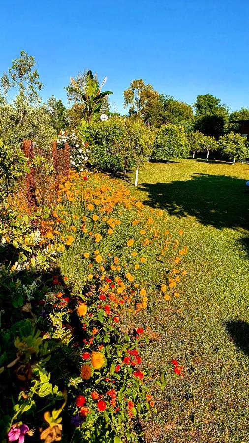 Flora Pansiyon Cirali Διαμέρισμα Κεμέρ Εξωτερικό φωτογραφία